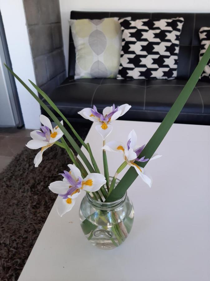 Loft Del Barranco Apartment โกโลเนีย เดล ซากราเมนโต ภายนอก รูปภาพ